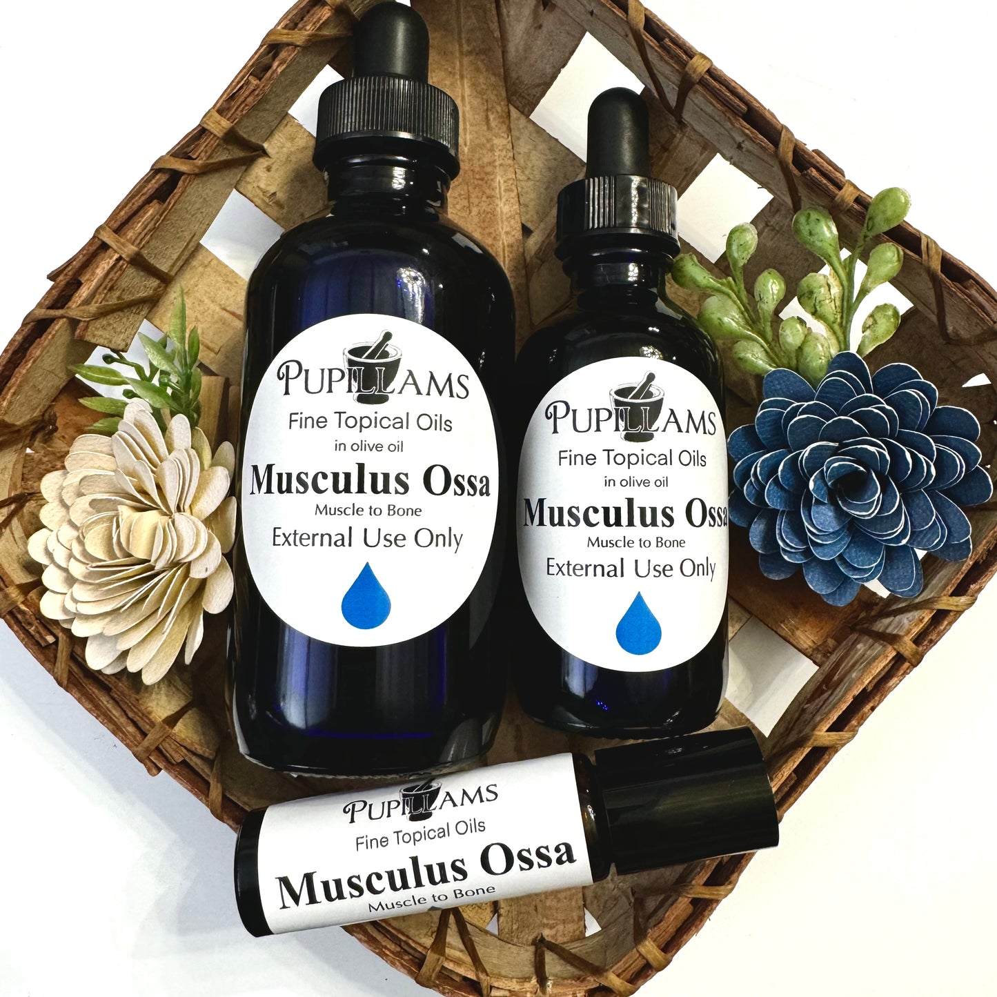 Musculus Ossa Oil