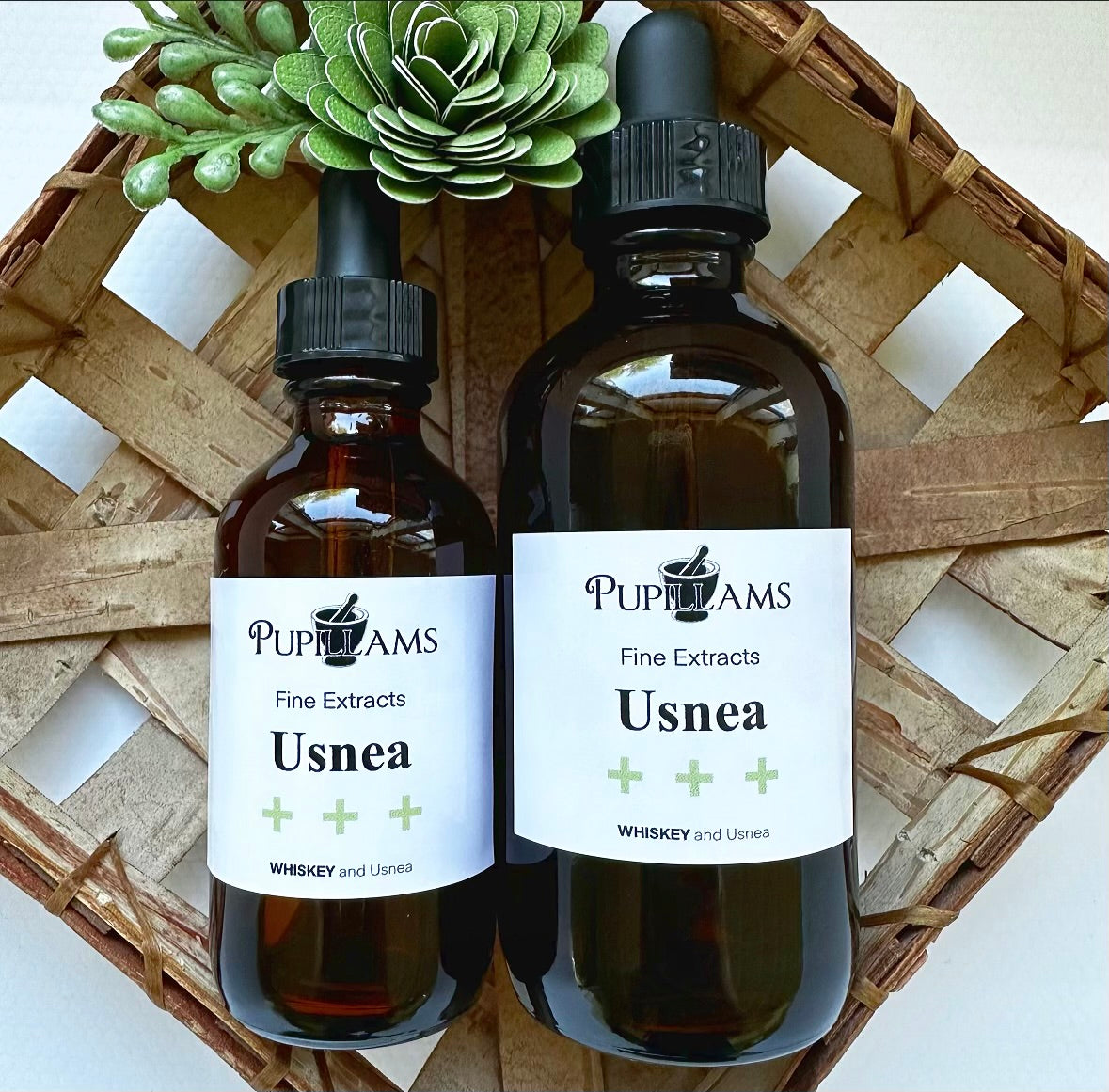 Usnea Tincture