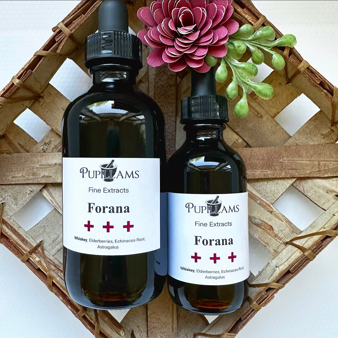 Forana Tincture (Immune Support)