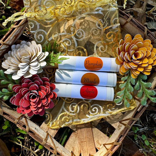 🎁 Fall Travel Set (100% off)