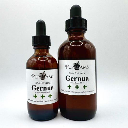Gernua (kidney/urinary system support)