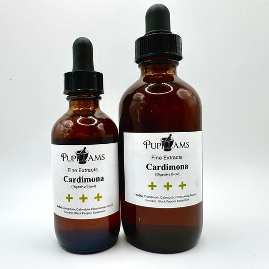Cardimona Tincture (Digestive Relief)