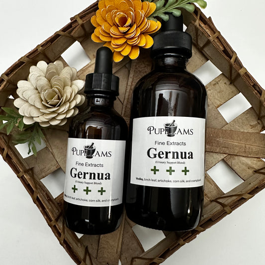 Gernua (kidney/urinary system support)