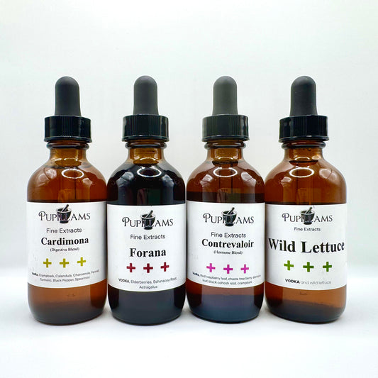 Starter Bundle (for women)