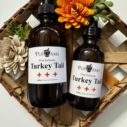 Turkey Tail Tincture